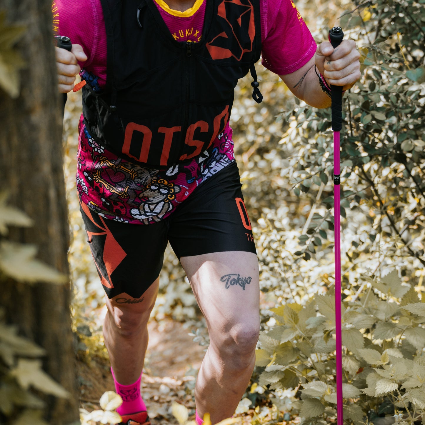 Ultralight folding carbon poles