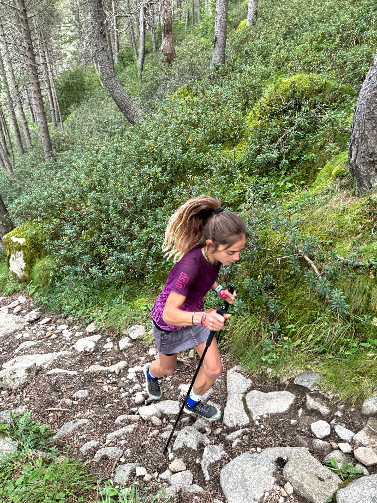 Ultralight Folding Carbon Poles for Trail Running and Trekking - Black